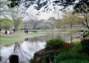 鈴木　公園の春